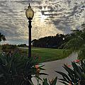 Evening in Venice FL